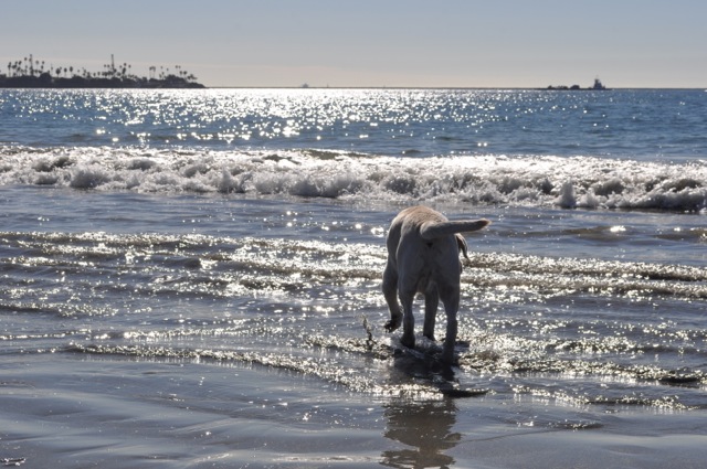annie down at the water