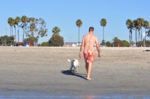 back up onto the sand