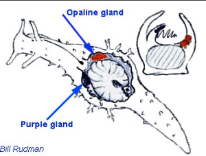 Screen Shot 2014-02-25 at 10.37.16 PM