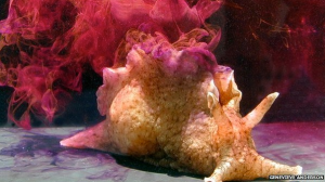 Screen Shot 2014-02-25 at 10.37.39 PM