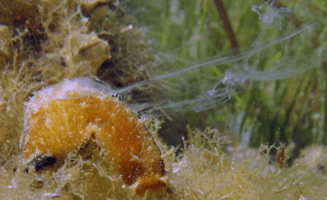 Screen Shot 2014-02-25 at 10.39.01 PM