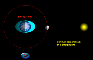 Screen Shot 2014-02-25 at 8.10.55 PM